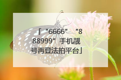 “6666”“888999”手机靓号再登法拍平台