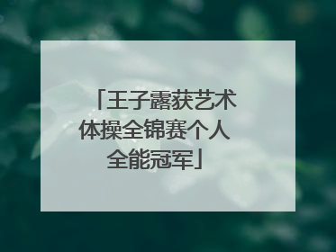 王子露获艺术体操全锦赛个人全能冠军