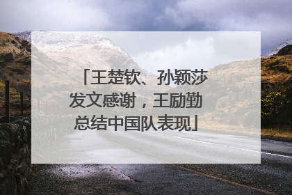 王楚钦、孙颖莎发文感谢，王励勤总结中国队表现