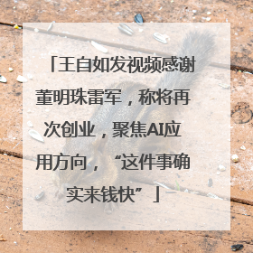 王自如发视频感谢董明珠雷军，称将再次创业，聚焦AI应用方向，“这件事确实来钱快”