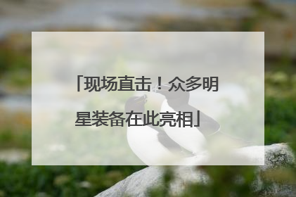 现场直击！众多明星装备在此亮相