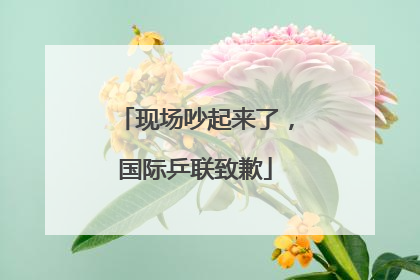 现场吵起来了，国际乒联致歉