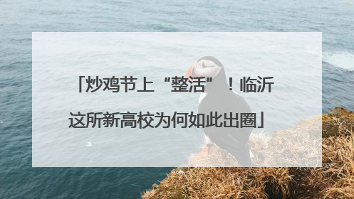 炒鸡节上“整活”！临沂这所新高校为何如此出圈