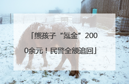 熊孩子“氪金”2000余元！民警全额追回