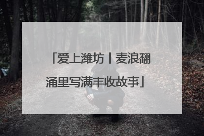爱上潍坊丨麦浪翻涌里写满丰收故事