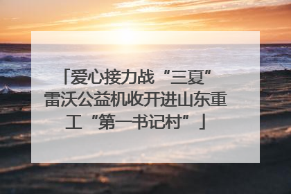 爱心接力战“三夏” 雷沃公益机收开进山东重工“第一书记村”