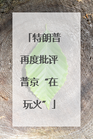 特朗普再度批评普京“在玩火”