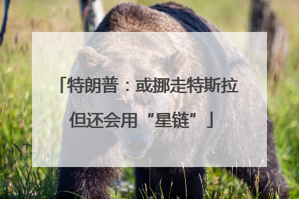 特朗普：或挪走特斯拉 但还会用“星链”