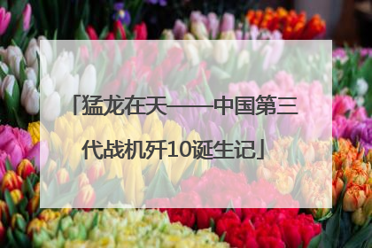 猛龙在天——中国第三代战机歼10诞生记