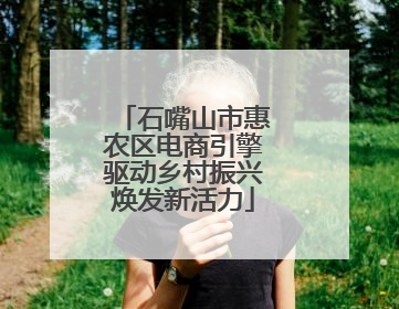石嘴山市惠农区电商引擎驱动乡村振兴焕发新活力