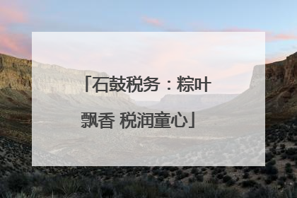 石鼓税务：粽叶飘香 税润童心