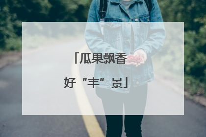 瓜果飘香 好“丰”景