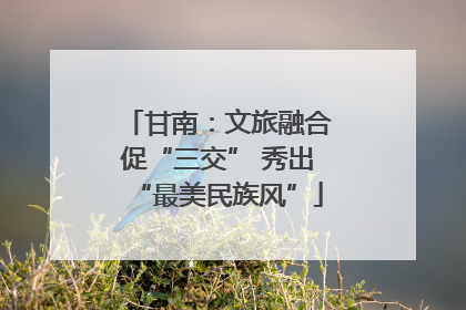 甘南：文旅融合促“三交” 秀出“最美民族风”