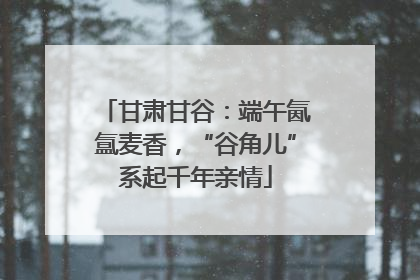 甘肃甘谷：端午氤氲麦香，“谷角儿”系起千年亲情