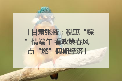 甘肃张掖：税惠“粽”情端午 看政策春风点“燃”假期经济