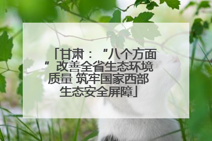 甘肃：“八个方面”改善全省生态环境质量 筑牢国家西部生态安全屏障