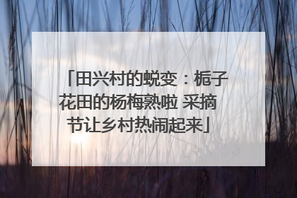田兴村的蜕变：栀子花田的杨梅熟啦 采摘节让乡村热闹起来