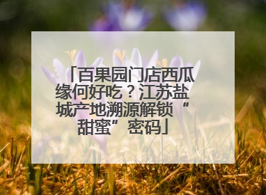 百果园门店西瓜缘何好吃？江苏盐城产地溯源解锁“甜蜜”密码