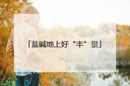 盐碱地上好“丰”景