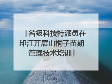 省级科技特派员在印江开展山桐子苗期管理技术培训