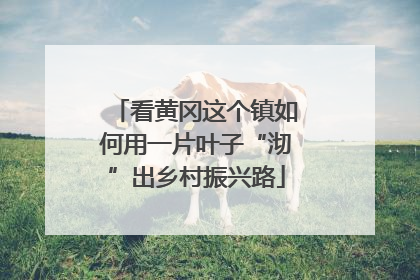 看黄冈这个镇如何用一片叶子“沏”出乡村振兴路