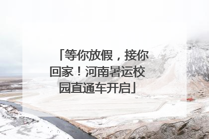 等你放假，接你回家！河南暑运校园直通车开启