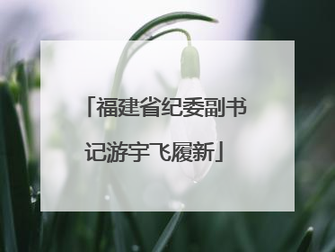 福建省纪委副书记游宇飞履新