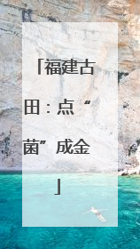 福建古田：点“菌”成金