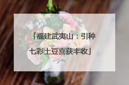 福建武夷山：引种七彩土豆喜获丰收
