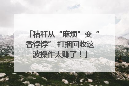 秸秆从“麻烦”变“香饽饽” 打捆回收这波操作太赚了！