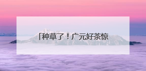 种草了！广元好茶惊艳亮相川茶博览会