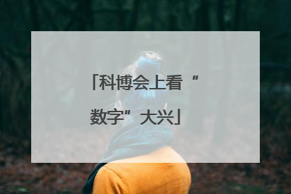 科博会上看“数字”大兴