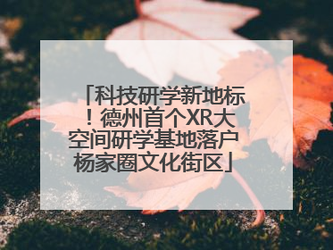 科技研学新地标！德州首个XR大空间研学基地落户杨家圈文化街区