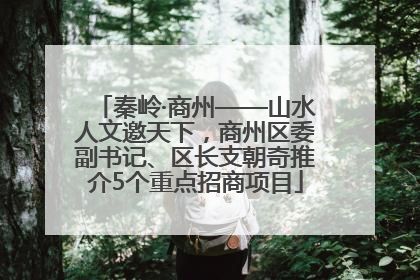 秦岭·商州——山水人文邀天下，商州区委副书记、区长支朝奇推介5个重点招商项目