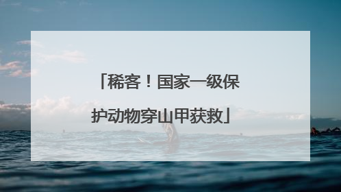 稀客！国家一级保护动物穿山甲获救