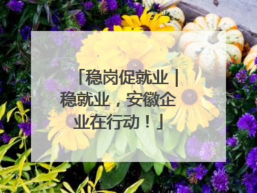 稳岗促就业｜稳就业，安徽企业在行动！