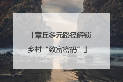 章丘多元路径解锁乡村“致富密码”