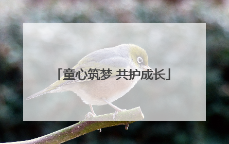 童心筑梦 共护成长