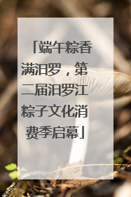 端午粽香满汨罗，第二届汨罗江粽子文化消费季启幕