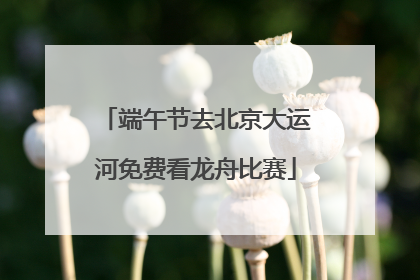 端午节去北京大运河免费看龙舟比赛