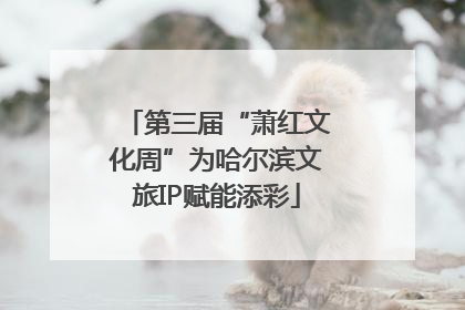 第三届“萧红文化周”为哈尔滨文旅IP赋能添彩