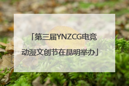 第三届YNZCG电竞动漫文创节在昆明举办
