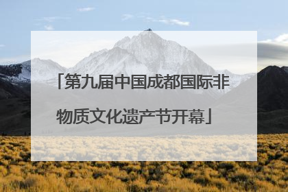 第九届中国成都国际非物质文化遗产节开幕