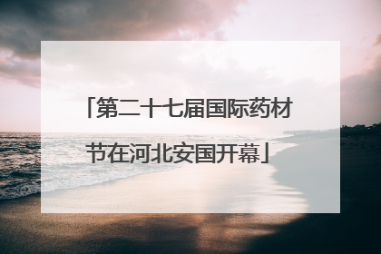 第二十七届国际药材节在河北安国开幕