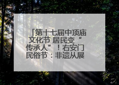 第十七届中顶庙文化节 居民变“传承人”！右安门民俗节：非遗从展柜走进烟火气