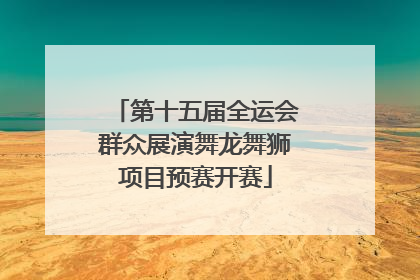 第十五届全运会群众展演舞龙舞狮项目预赛开赛
