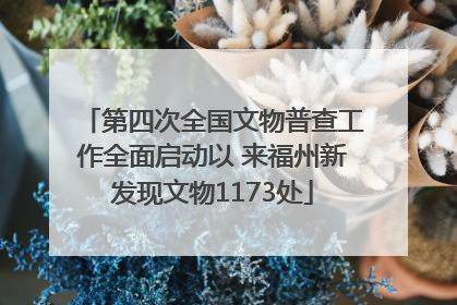 第四次全国文物普查工作全面启动以 来福州新发现文物1173处