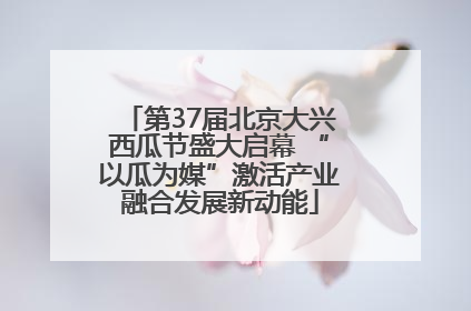 第37届北京大兴西瓜节盛大启幕 “以瓜为媒”激活产业融合发展新动能