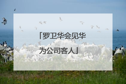 罗卫华会见华为公司客人