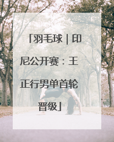 羽毛球｜印尼公开赛：王正行男单首轮晋级